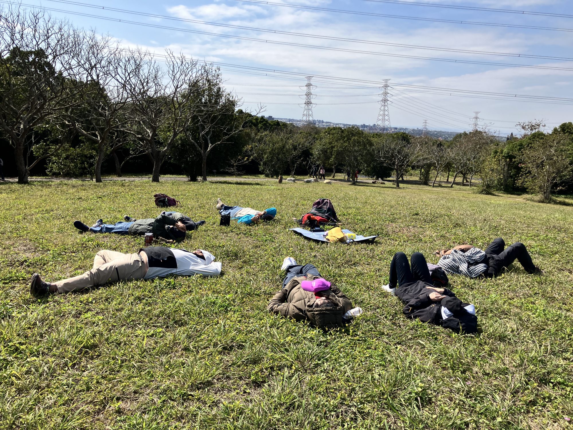 在臺中都會公園草皮上沐浴陽光的夥伴們