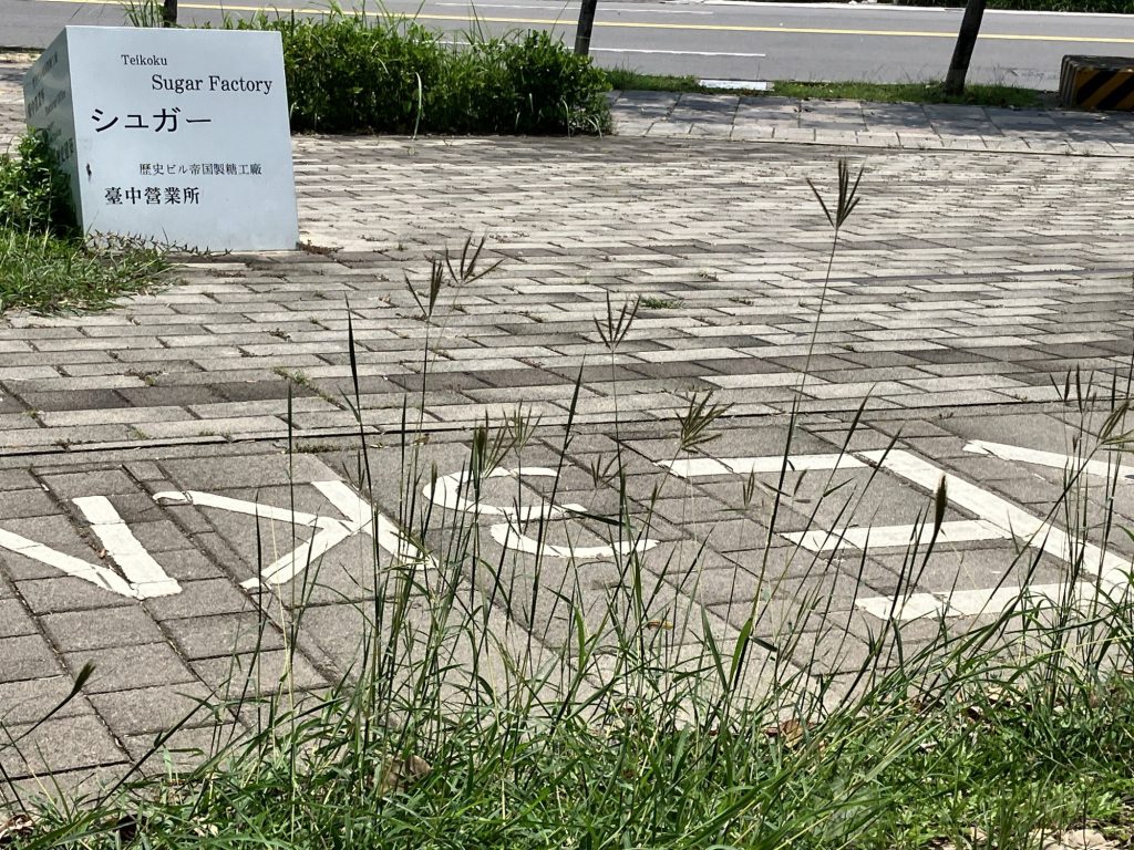 人行道旁生長茂盛的牛筋草