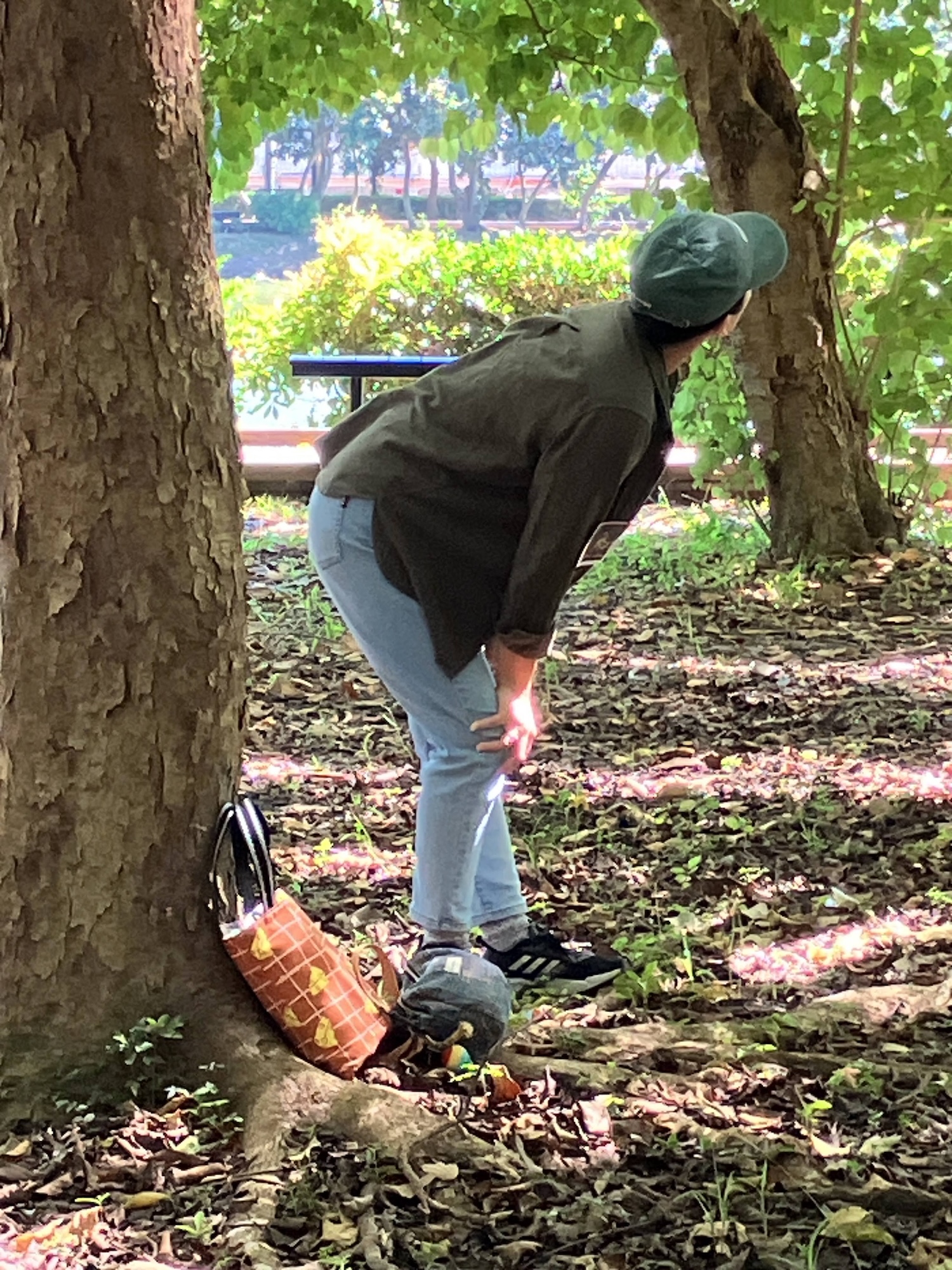 家長與樹朋友的獨處時光