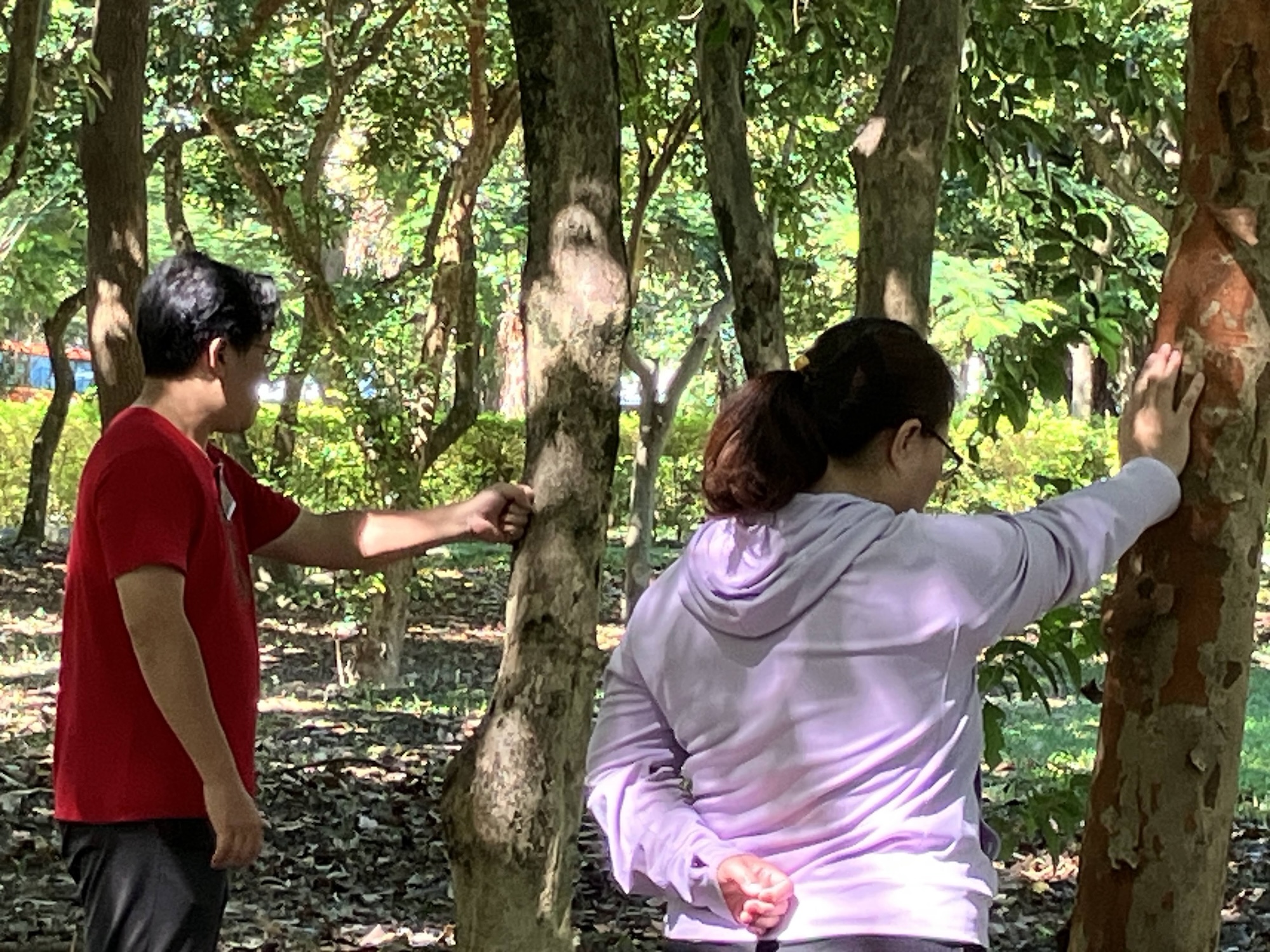 家長與樹朋友的獨處時光