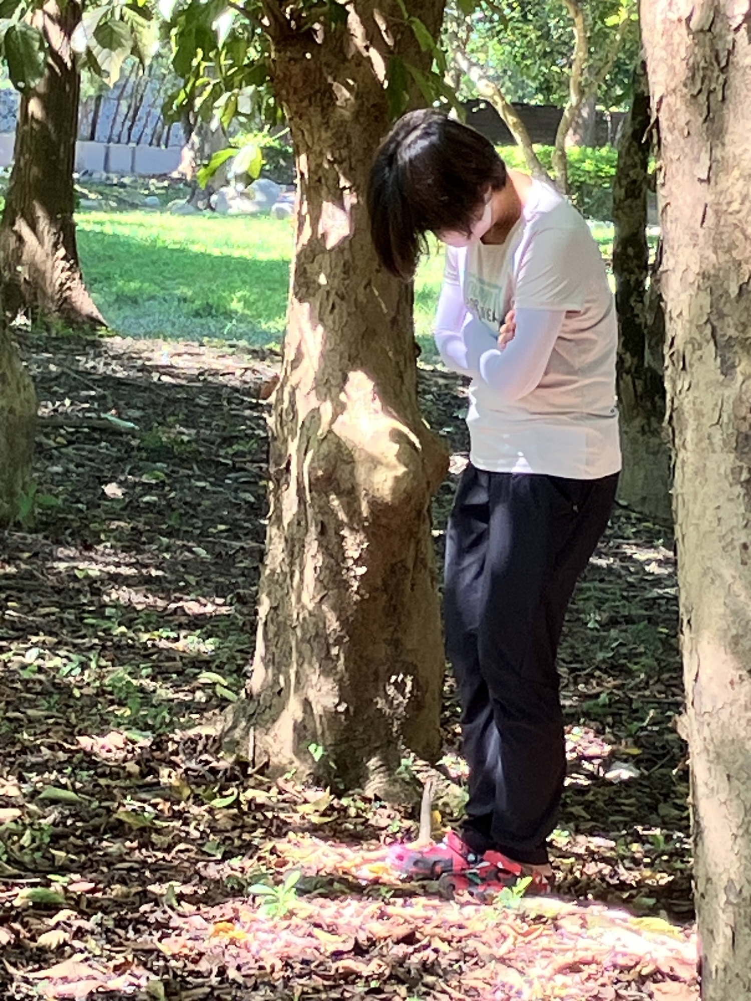 家長與樹朋友的獨處時光