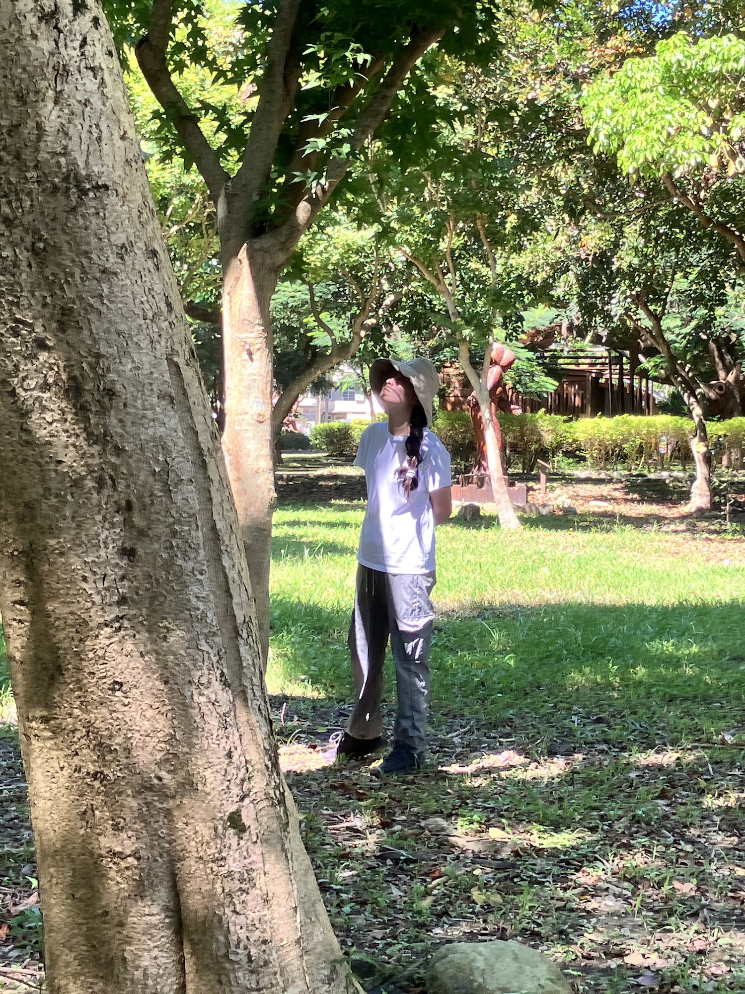 家長與樹朋友的獨處時光