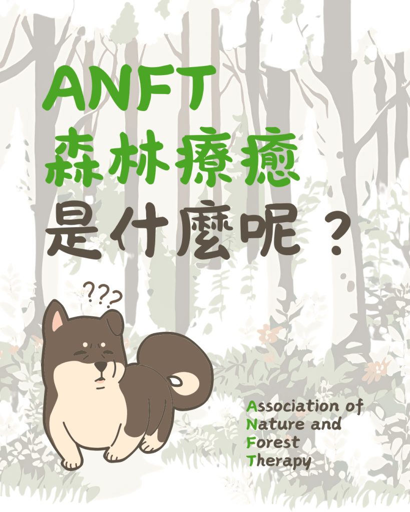 ANFT 森林療癒 是什麼呢？