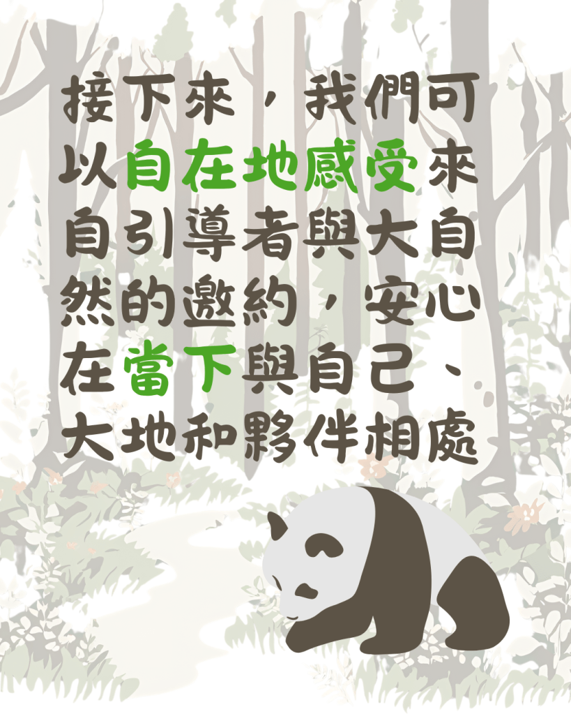 接下來，我們可以自在地感受來自引導者與大自然的邀約，安心在當下與自己、大地和夥伴相處