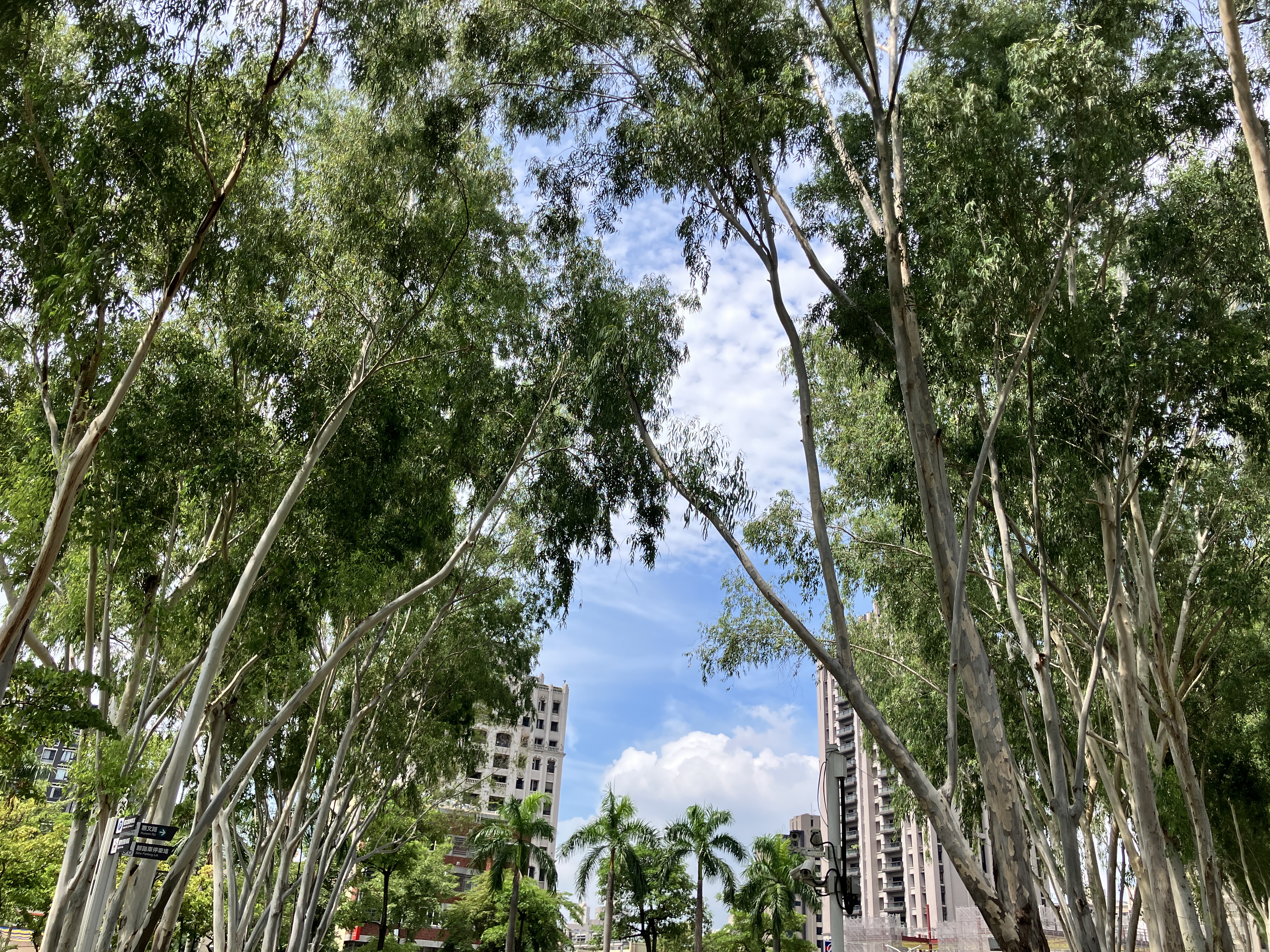 2026/8/2文心森林公園