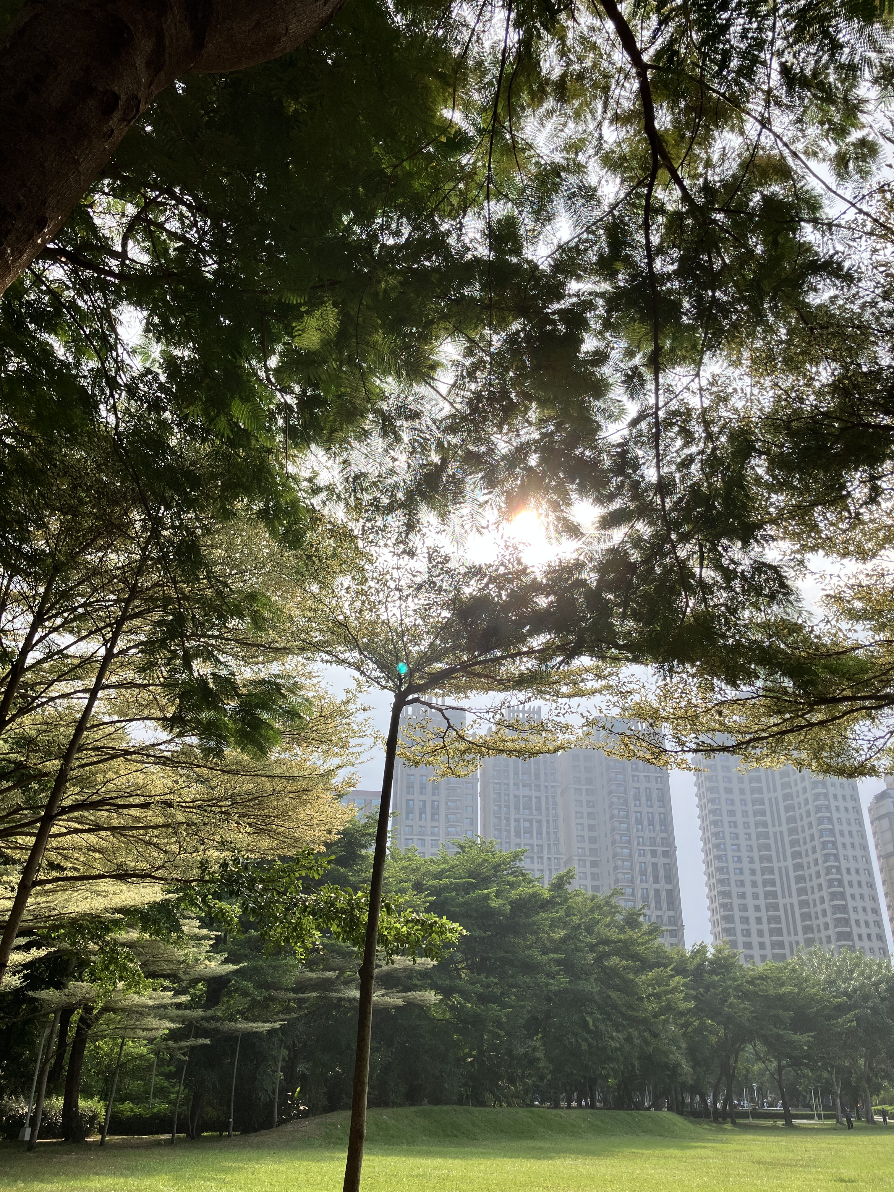 2026/9/20文心森林公園